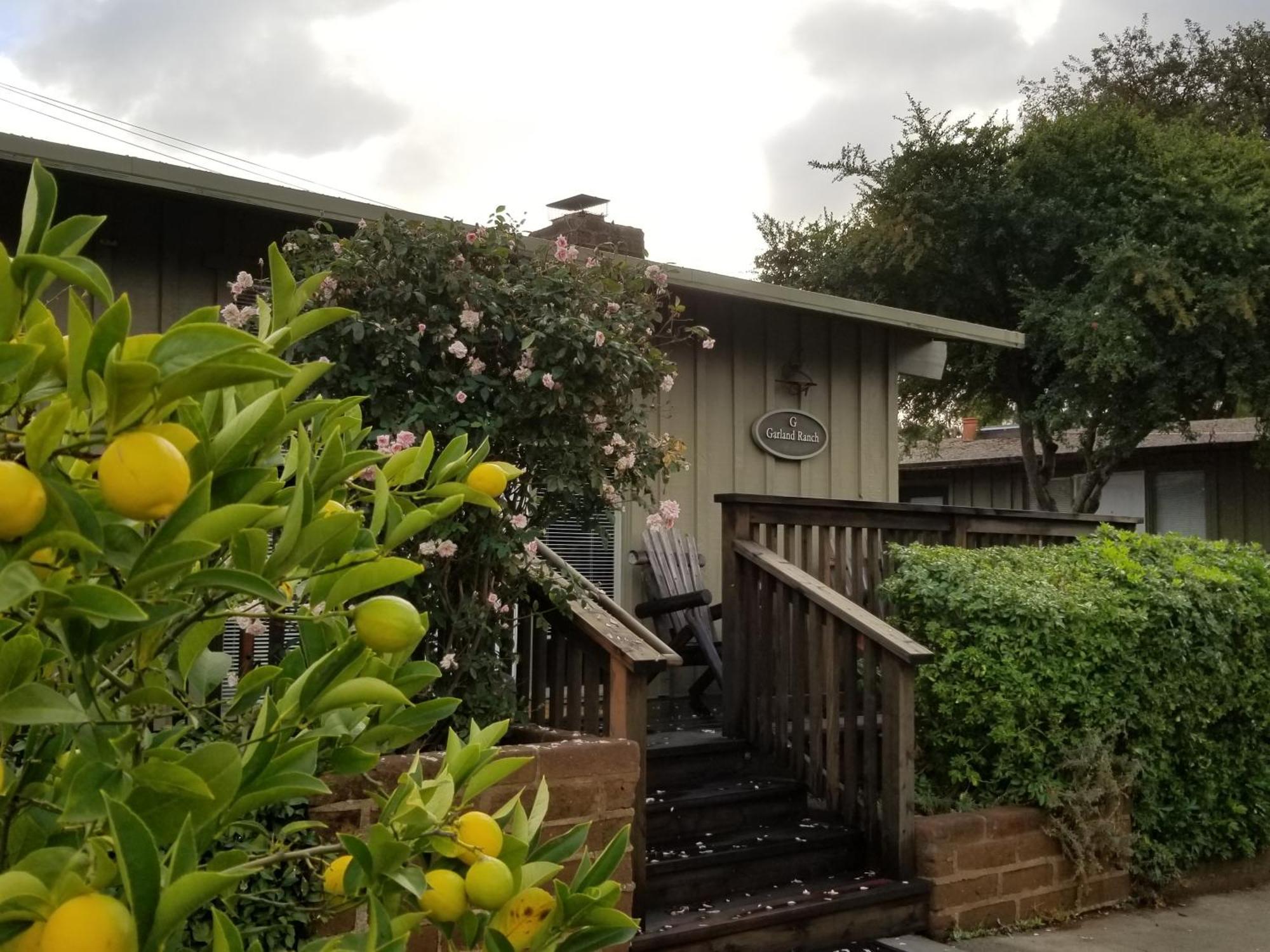Carmel Valley Lodge Екстер'єр фото