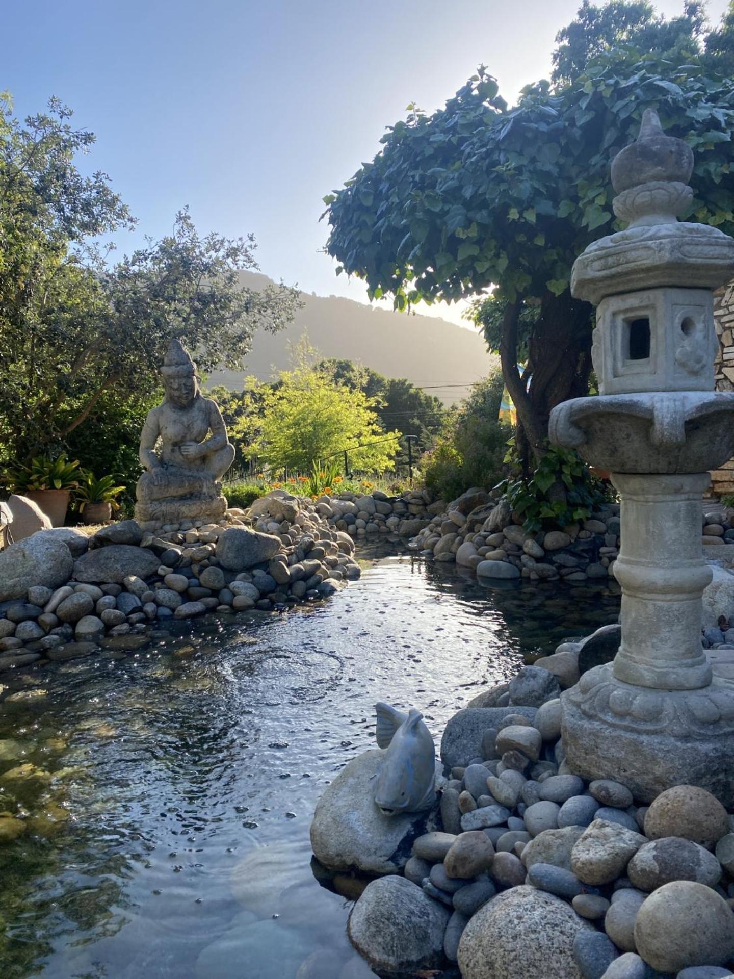 Carmel Valley Lodge Екстер'єр фото