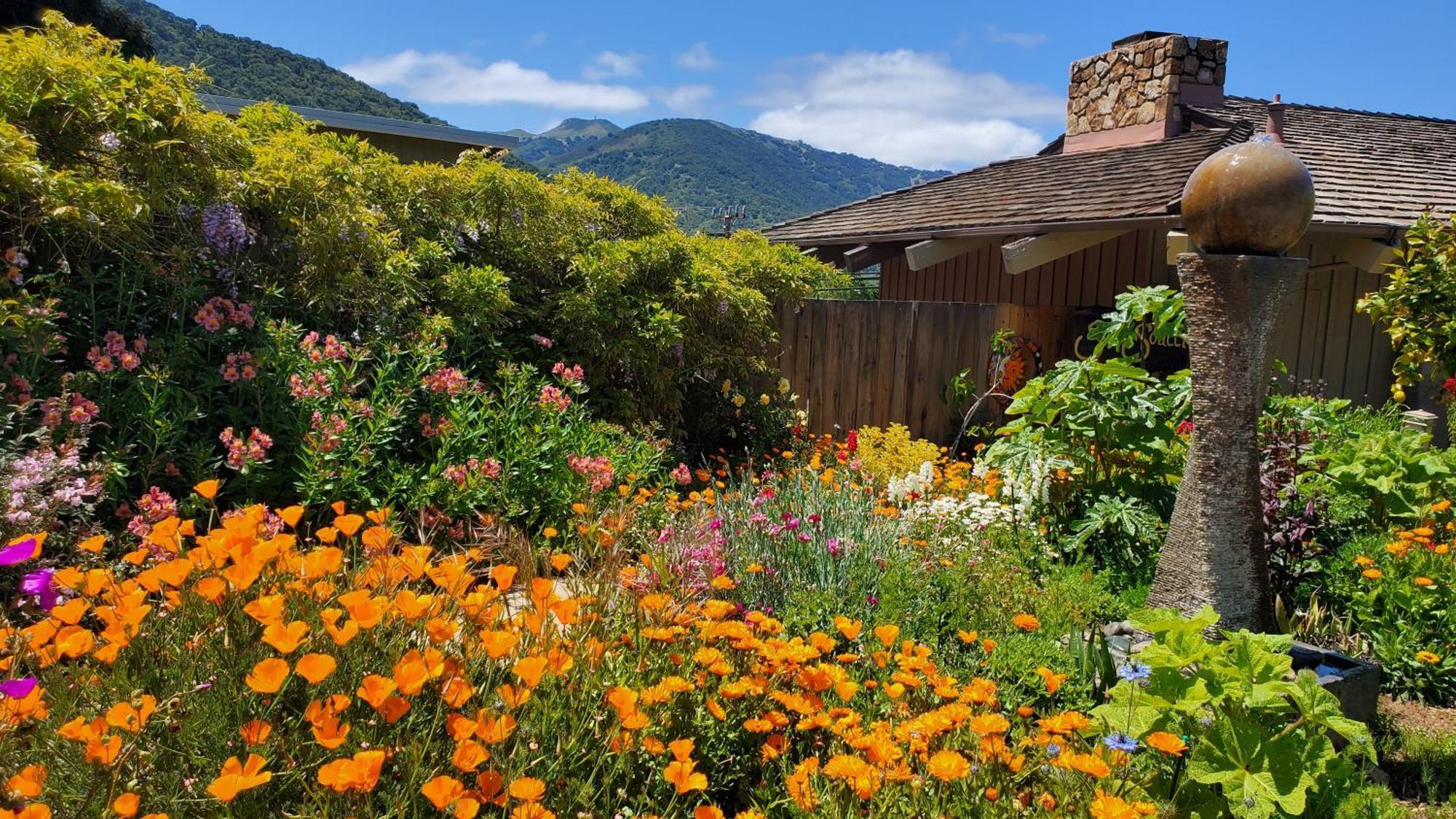 Carmel Valley Lodge Екстер'єр фото