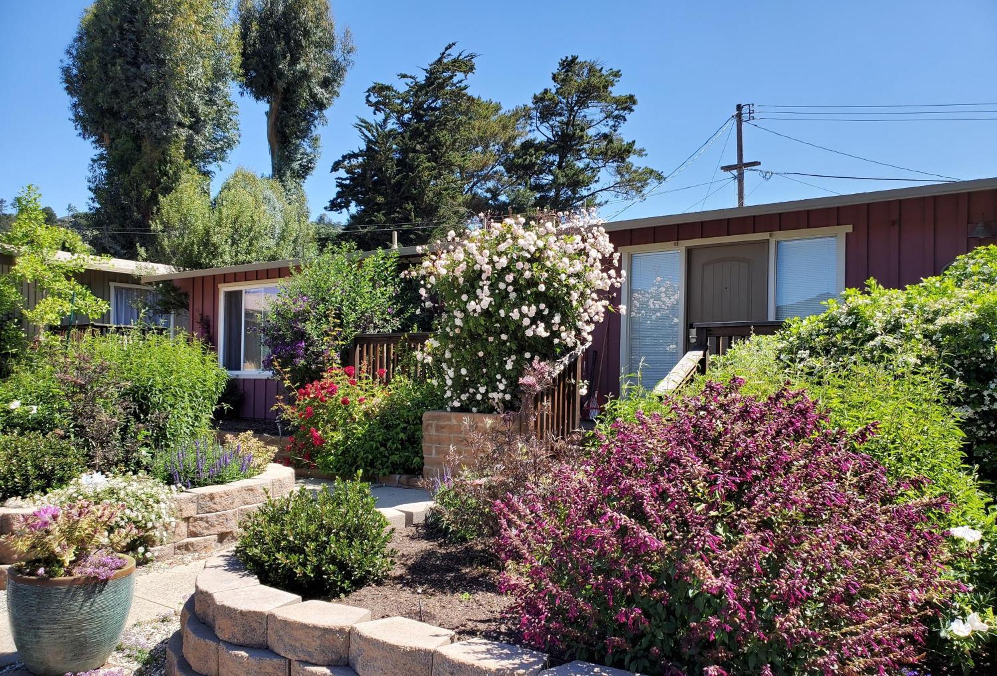 Carmel Valley Lodge Екстер'єр фото