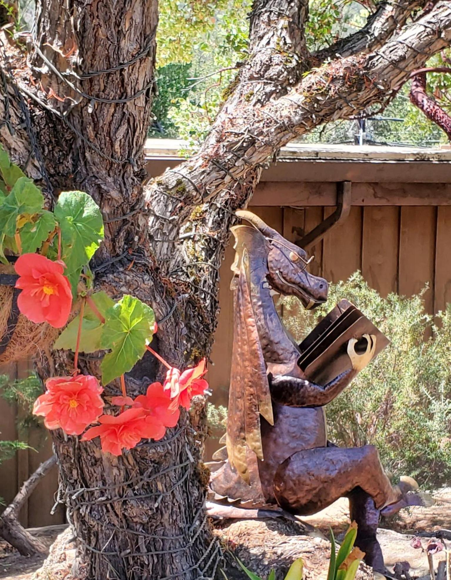 Carmel Valley Lodge Екстер'єр фото